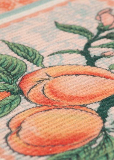 furn. Anemone Peaches Indoor/Outdoor Placemats