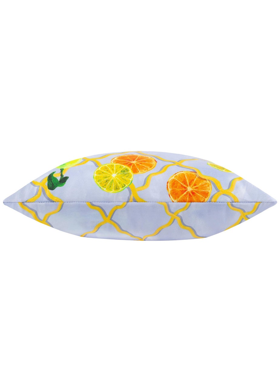 Wylder Citrus Blue Trellis Printed Outdoor Outdoor Cushion