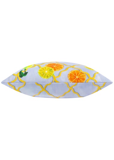 Wylder Citrus Blue Trellis Printed Outdoor Outdoor Cushion