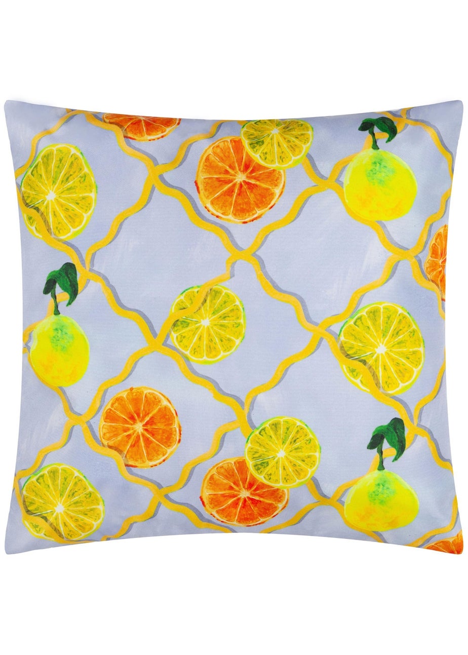 Wylder Citrus Blue Trellis Printed Outdoor Outdoor Cushion