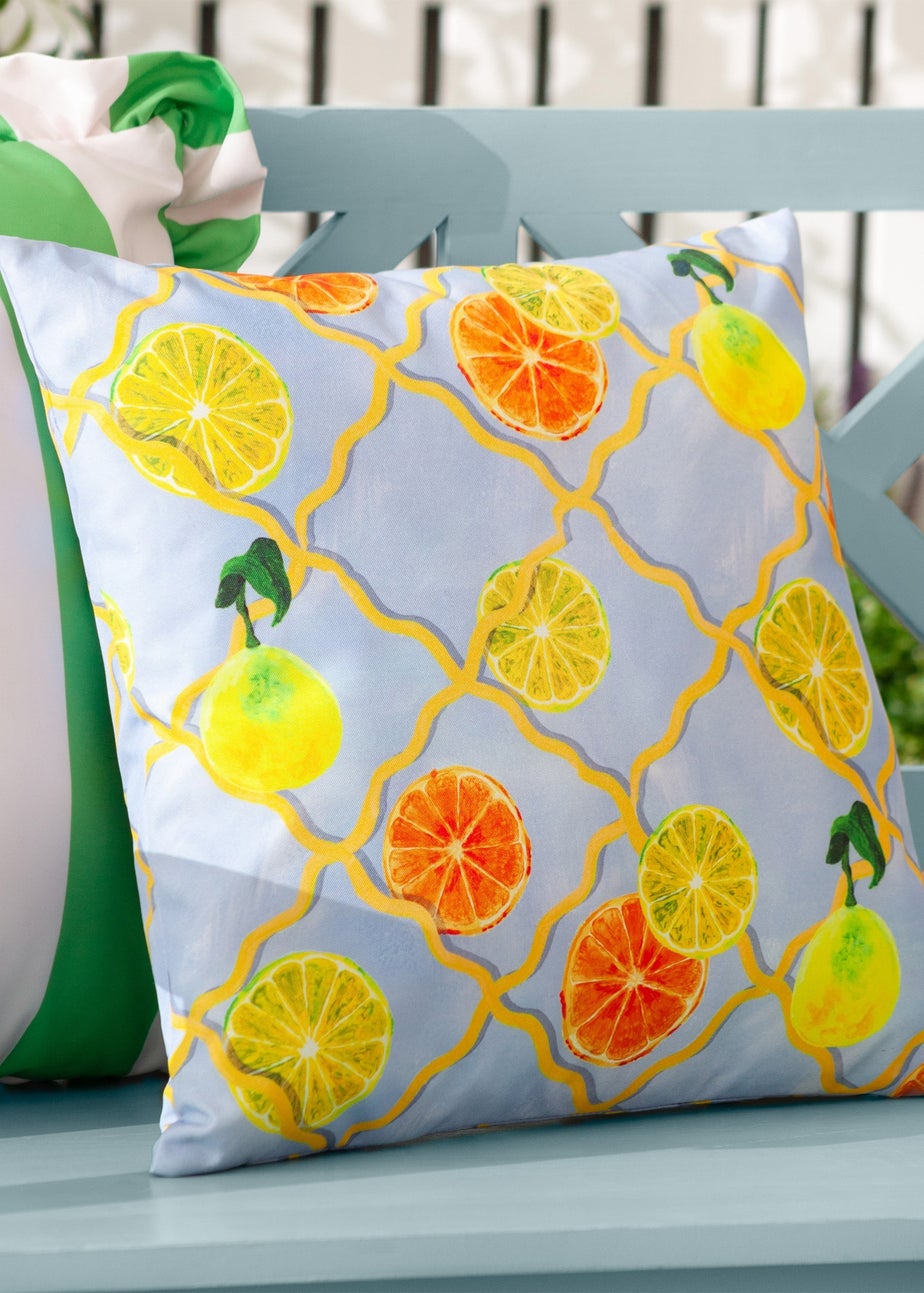 Wylder Citrus Blue Trellis Printed Outdoor Outdoor Cushion