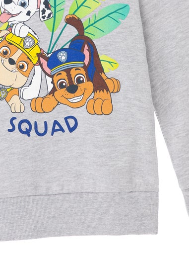 Paw Patrol Advernture Squad Kids Grey Marl Hoodie (3-8 years)