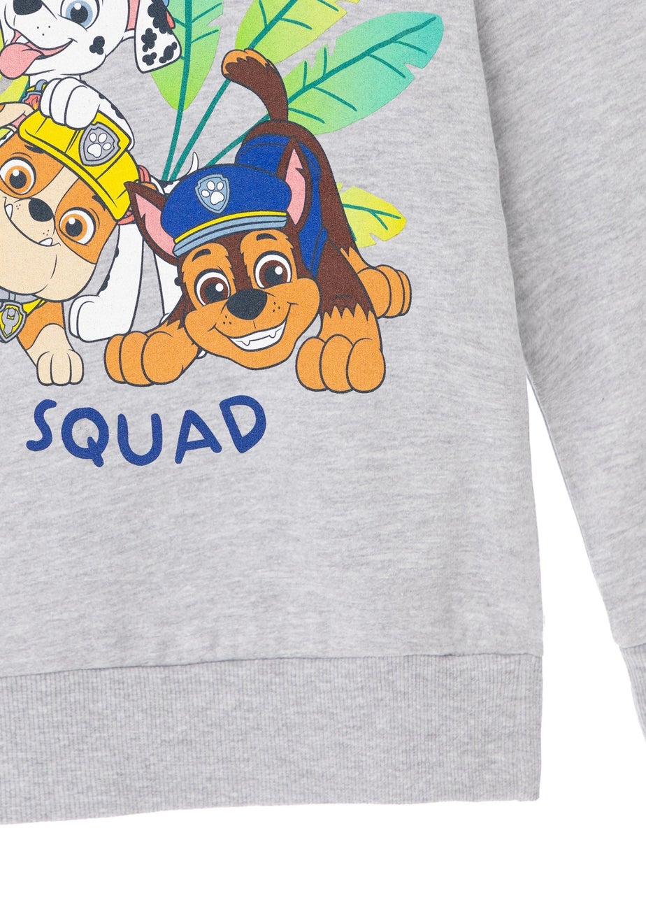 Paw Patrol Advernture Squad Kids Grey Marl Hoodie (3-8 years)