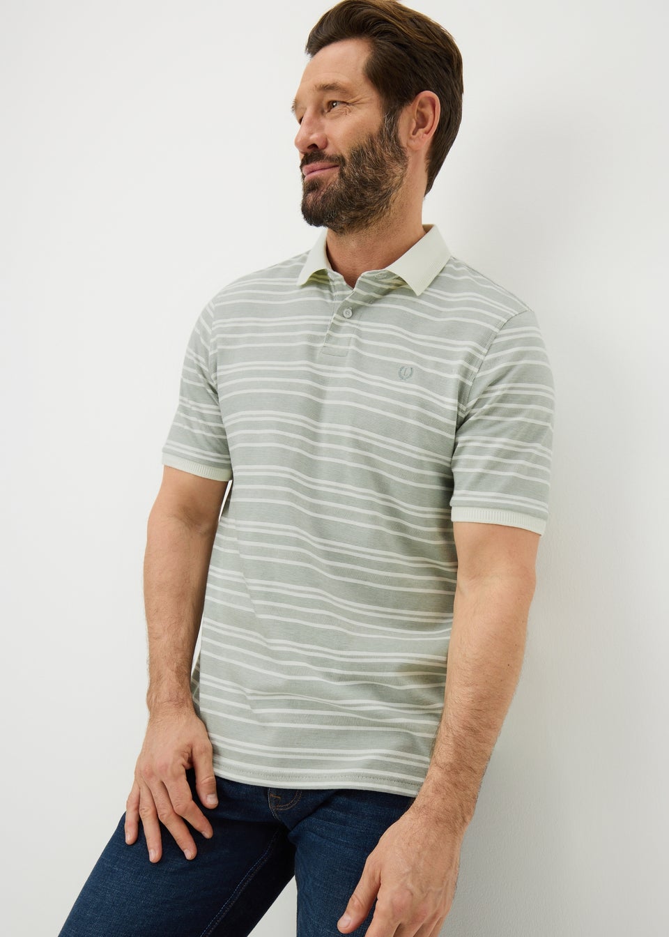 Lincoln Sage Stripe Polo Shirt