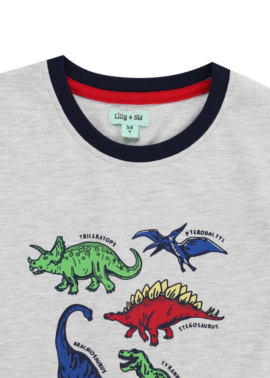 Lilly & Sid Grey Dinosaur Print Top (0-8 Years)
