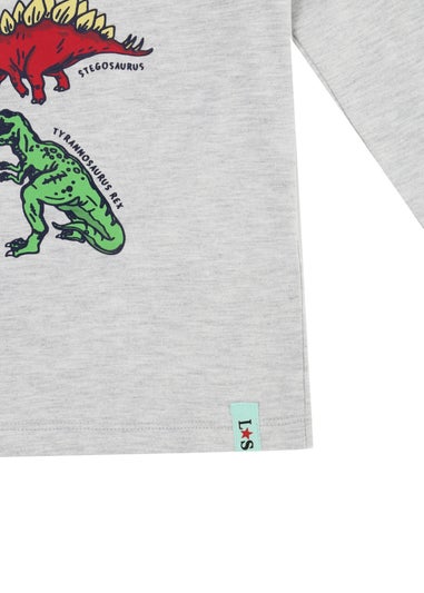 Lilly & Sid Grey Dinosaur Print Top (0-8 Years)