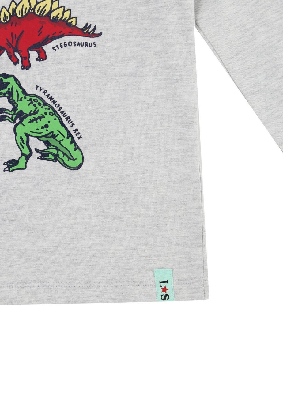 Lilly & Sid Grey Dinosaur Print Top (0-8 Years)