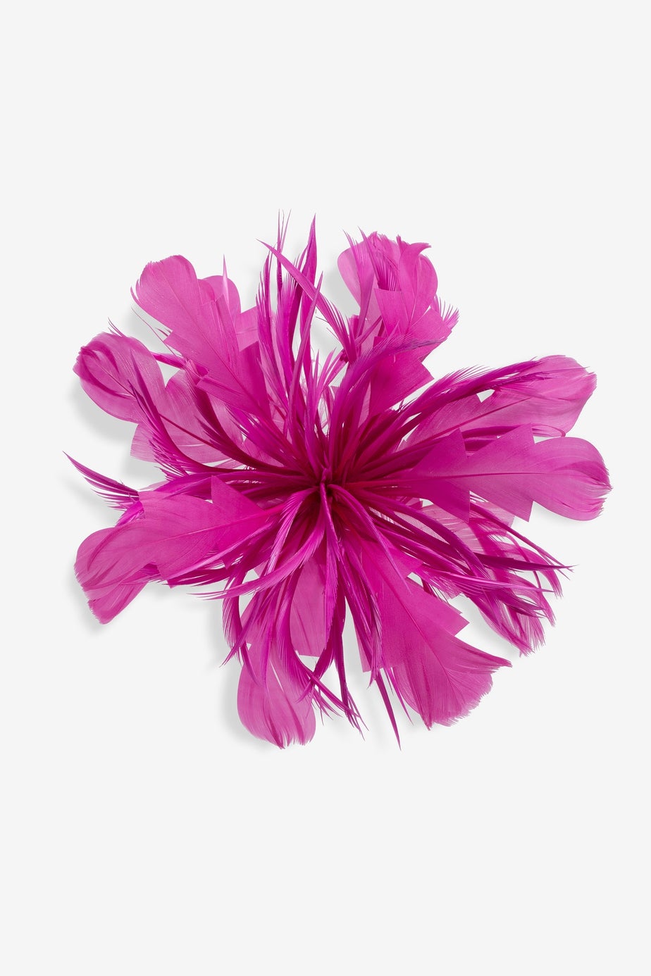 Jon Richard Fuschia Statement Floral Clip Fascinator