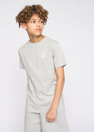 Kings Will Dream Grey Marl Stanton T-Shirt (7-14 yrs)