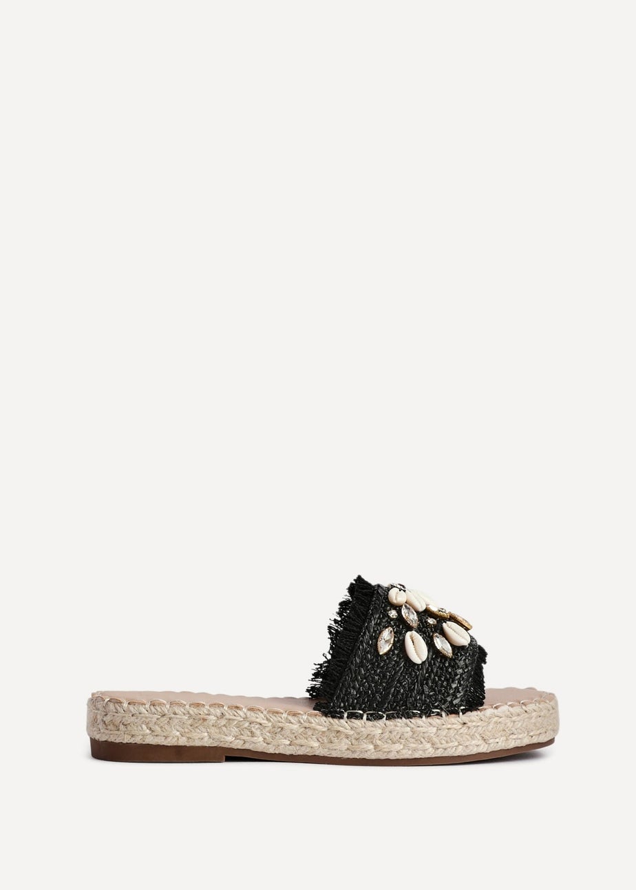 Linzi Seaside Black Raffia Shell Embellished Flat Slider