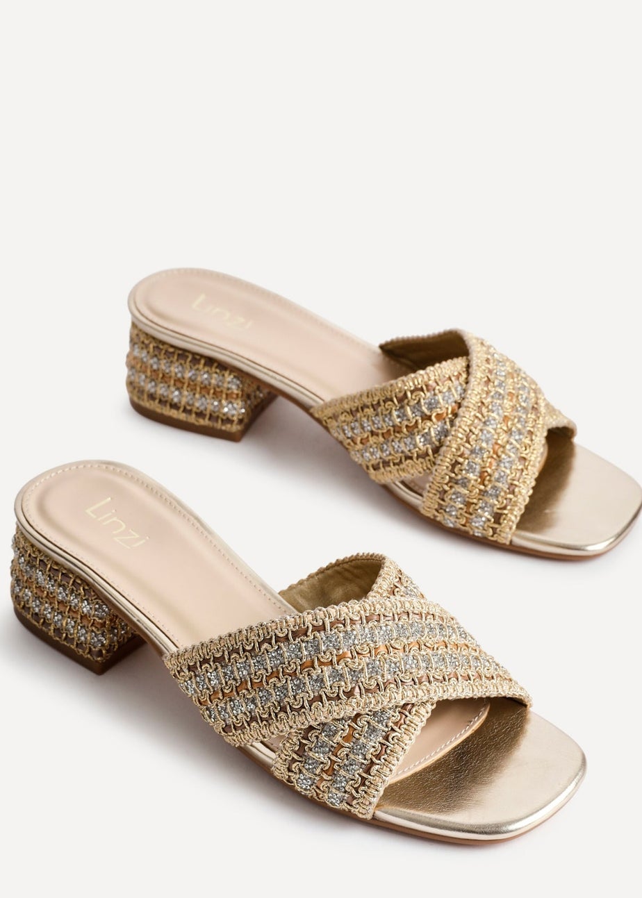 Linzi Zadie Gold Raffia Embellished Block Heel Mule Sandal