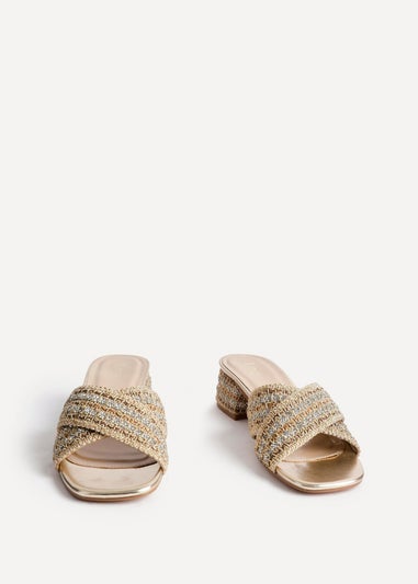 Linzi Zadie Gold Raffia Embellished Block Heel Mule Sandal