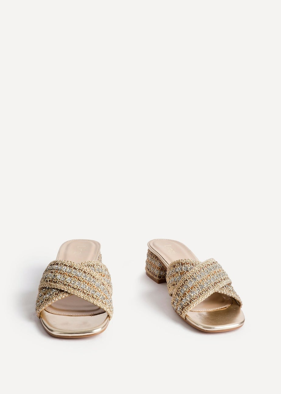 Linzi Zadie Gold Raffia Embellished Block Heel Mule Sandal