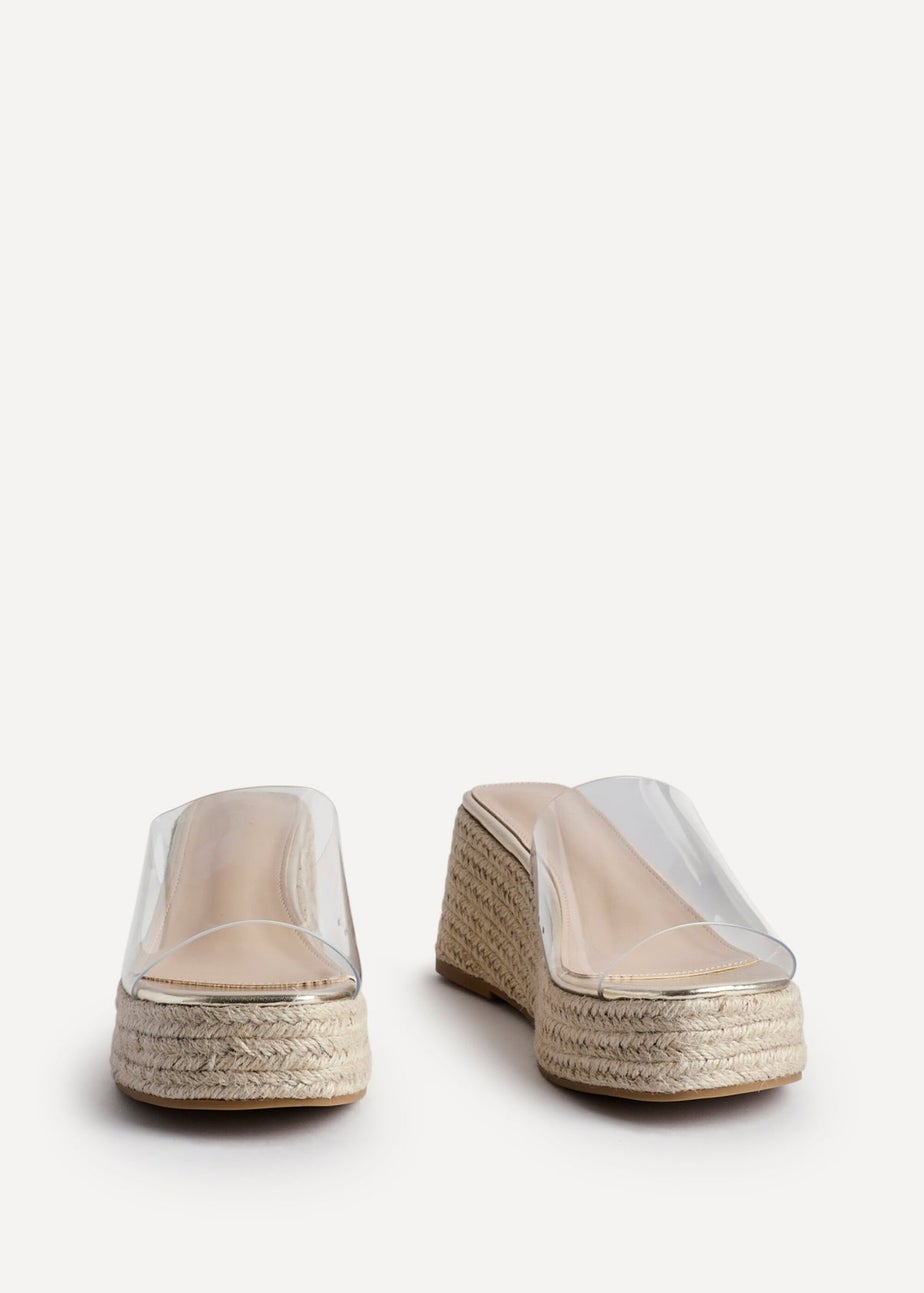 Linzi Clear Espresso Perspex Espadrille Inspired Mule Wedges
