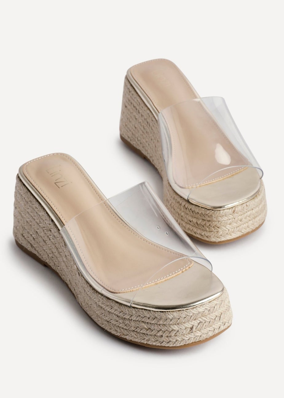 Linzi Clear Espresso Perspex Espadrille Inspired Mule Wedges