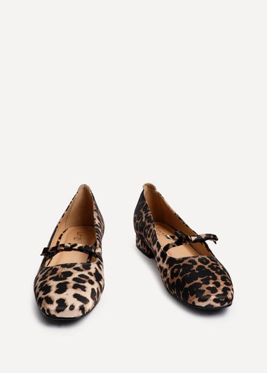 Linzi Cressida Leopard Print Ballet Pump