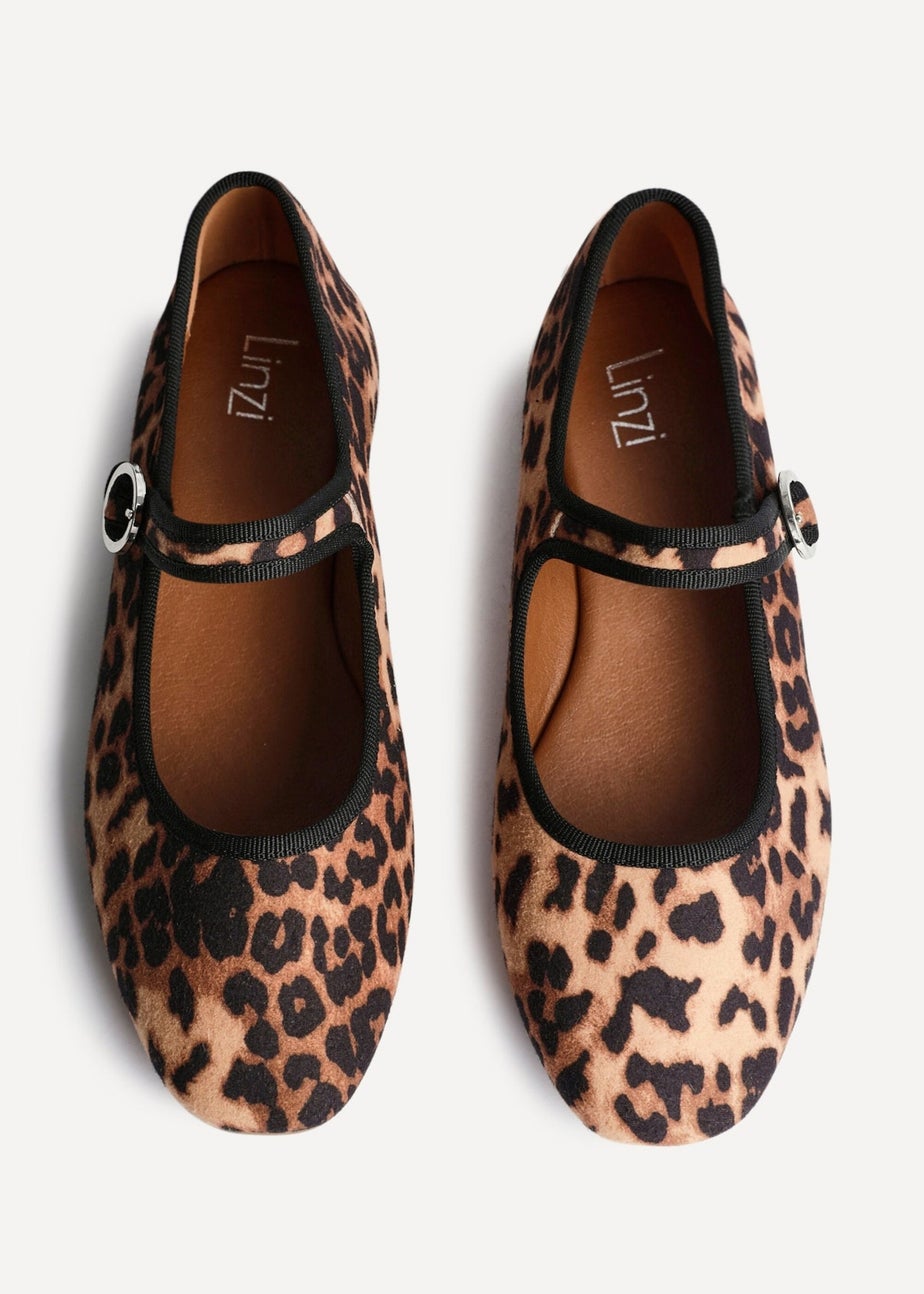 Linzi Graceful Leopard Print Ballet Pumps