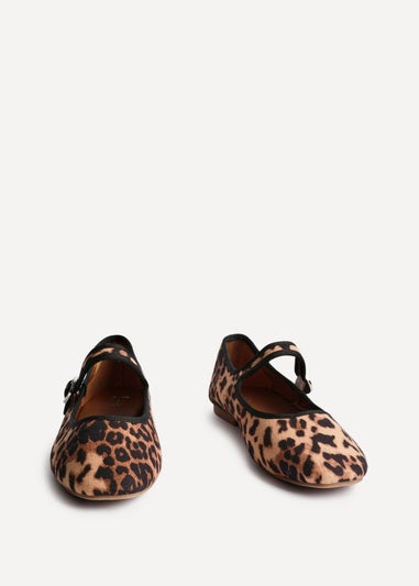 Linzi Graceful Leopard Print Ballet Pumps