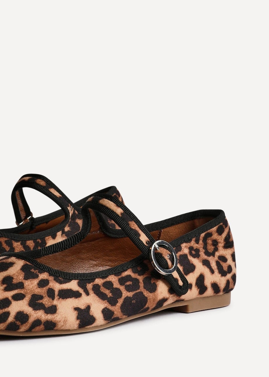 Linzi Graceful Leopard Print Ballet Pumps