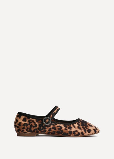 Linzi Graceful Leopard Print Ballet Pumps