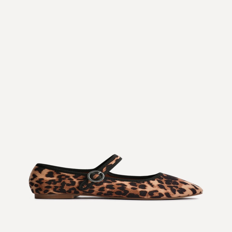 Linzi Graceful Leopard Print Ballet Pumps