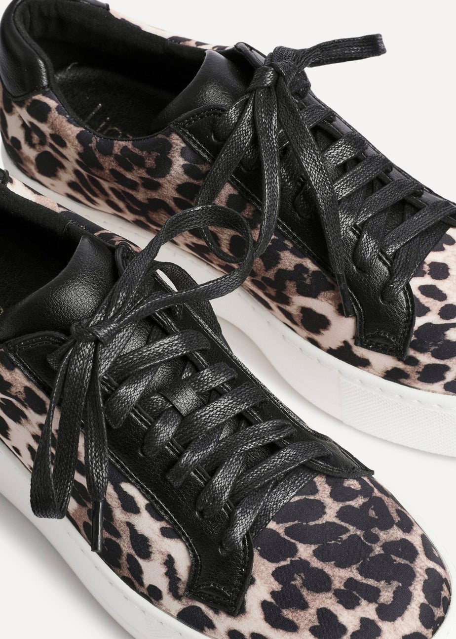 Linzi Twyla Leopard Print Trainers
