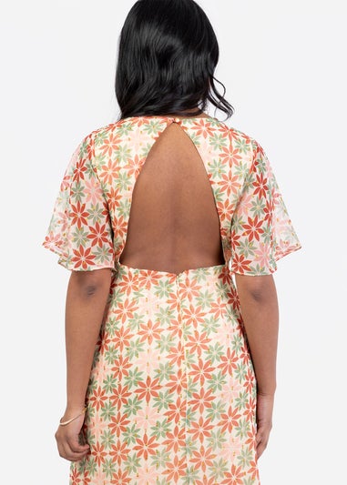 Anaya With Love Multi Coloured Floral Print Open Back Maxi Dress