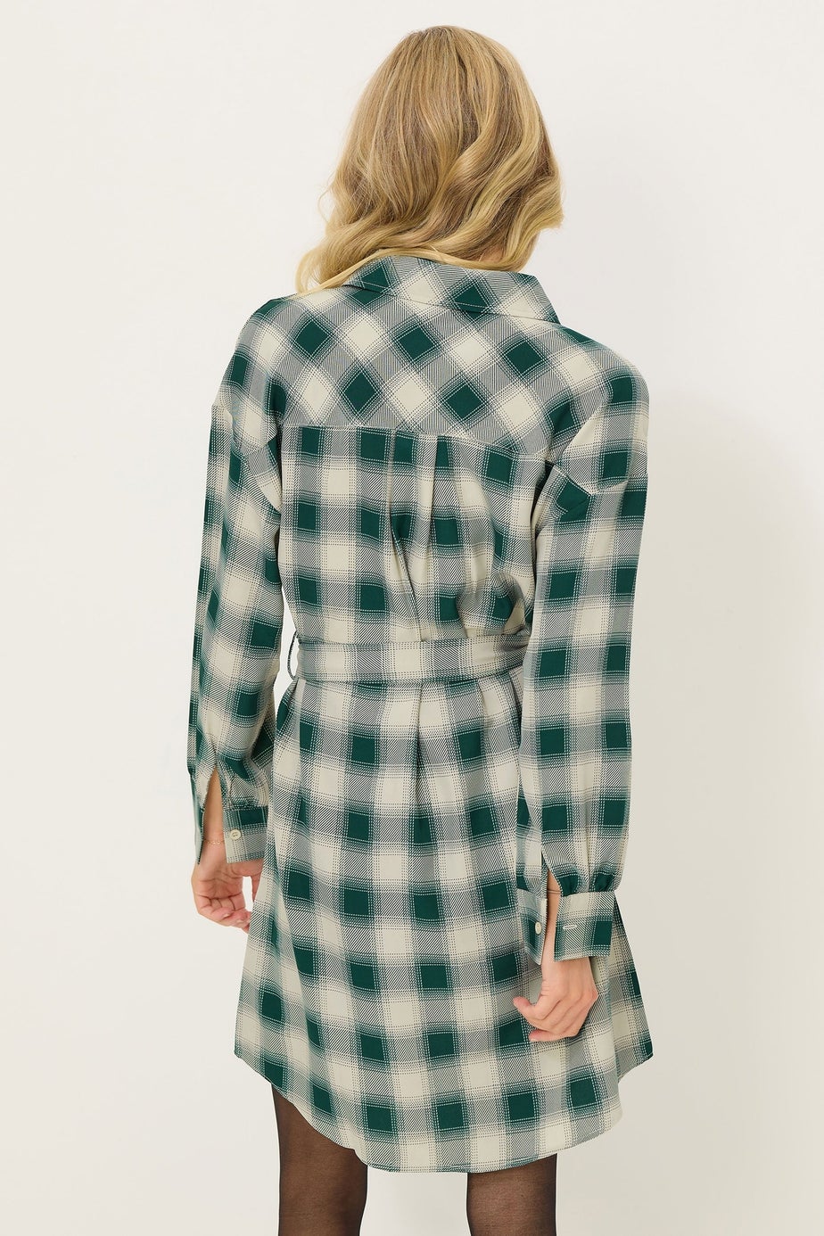 PixieGirl Petite Green Check Print Shirt Dress