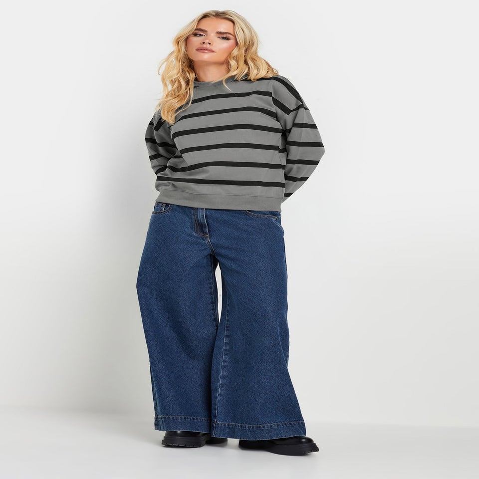 PixieGirl Petite Charcoal Grey Stripe Sweatshirt