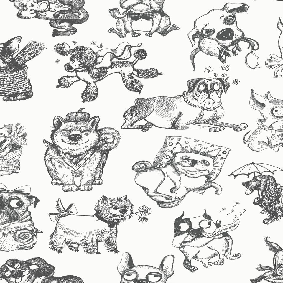 Muriva Pooches Wallpaper