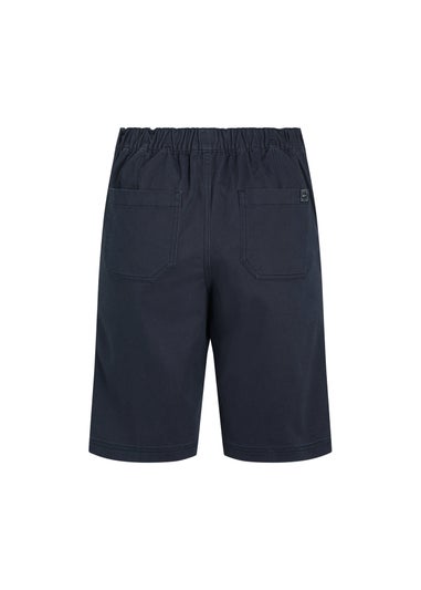 Weird Fish Navy Kinnie Flat Front Shorts