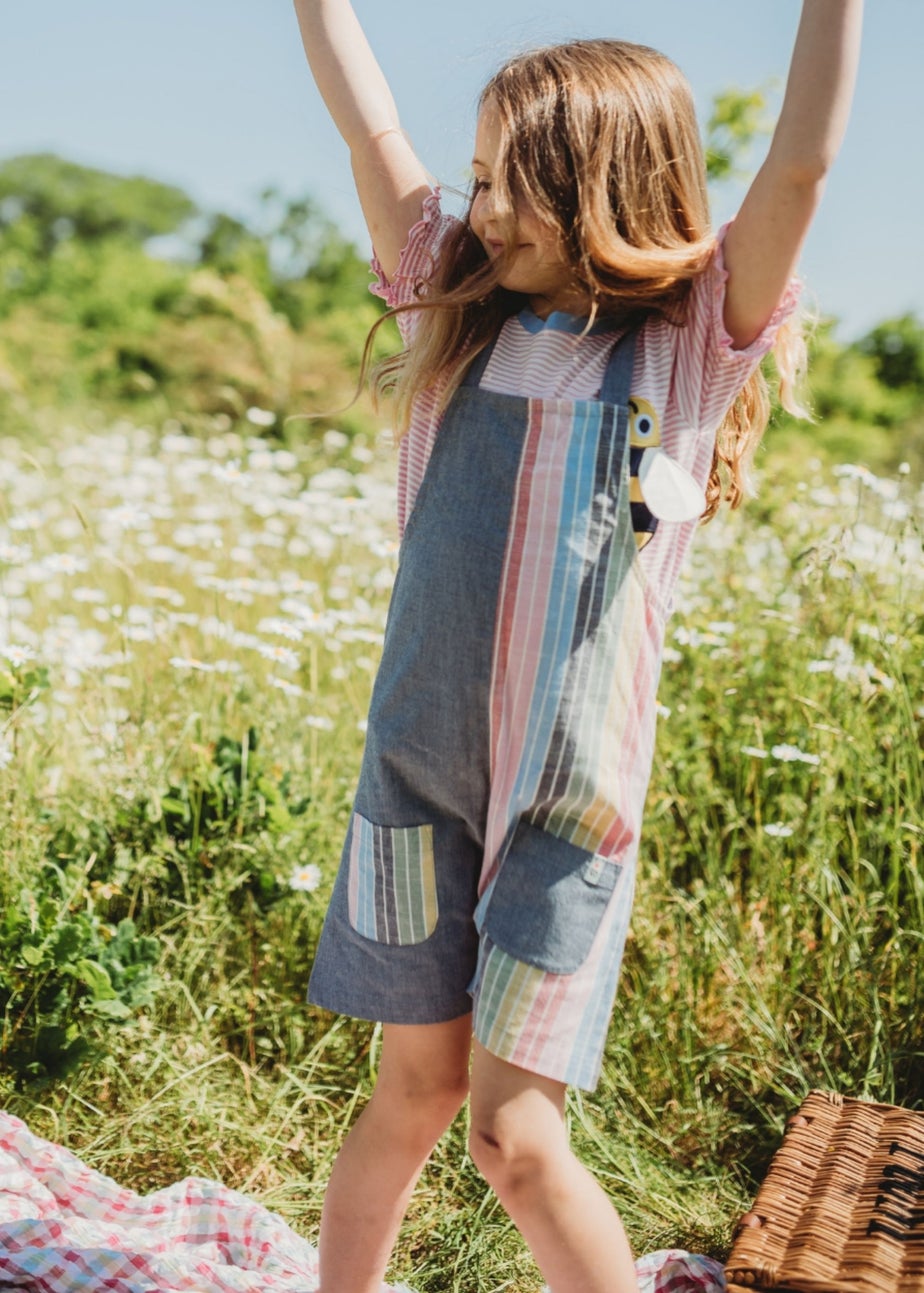 Lilly & Sid Organic Cotton Multicoloured Rainbow Stripe Print Playsuit (0-8 Years)