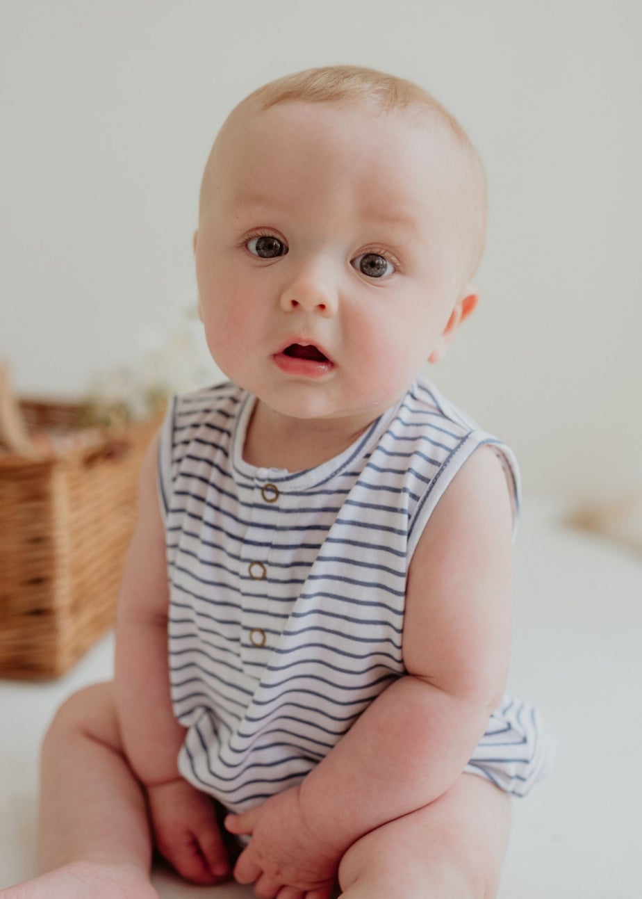 Lilly & Sid Organic Cotton Blue Stripe Print Romper (0-12 Months)