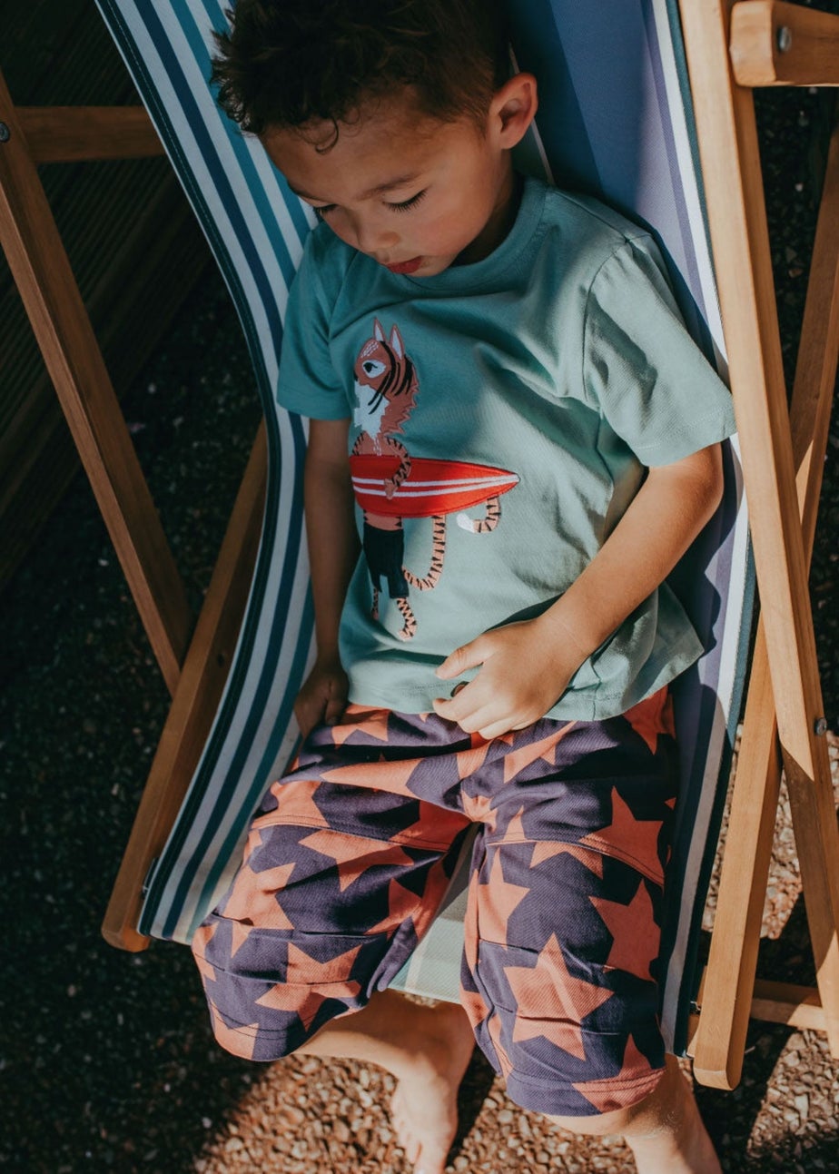 Lilly & Sid Organic Cotton Multicoloured Star Print Shorts (24 Months- 8 Years)