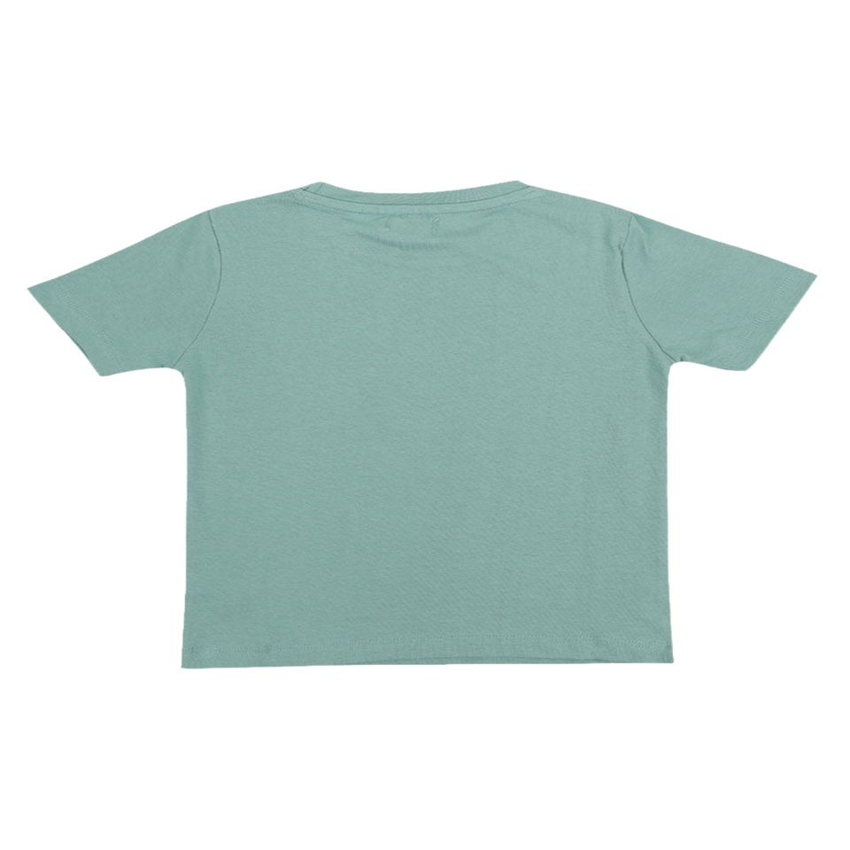 Lilly & Sid Organic Cotton Blue Surfing Tiger Print T-Shirt (24 Months- 8 Years)