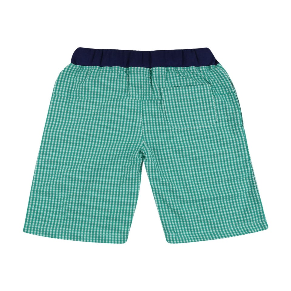 Lilly & Sid Organic Cotton Green Gingham Print Shorts (24 Months- 8 Years)