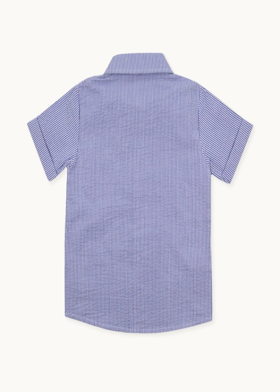 Lilly & Sid Organic Cotton Blue Stripe Print Shirt (24 Months- 8 Years)