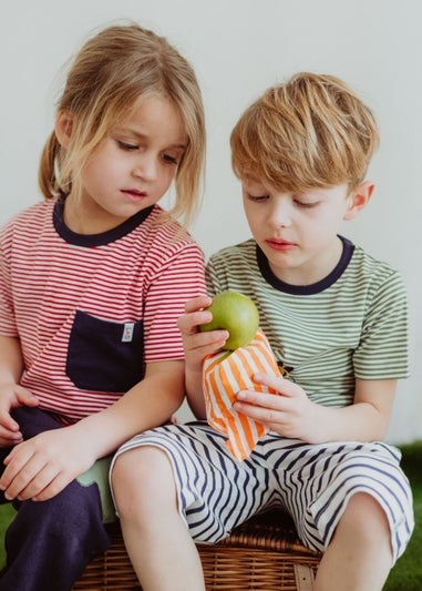 Lilly & Sid Multicoloured Seagull & Stripe Print Top 2 Pack (0-8 Years)