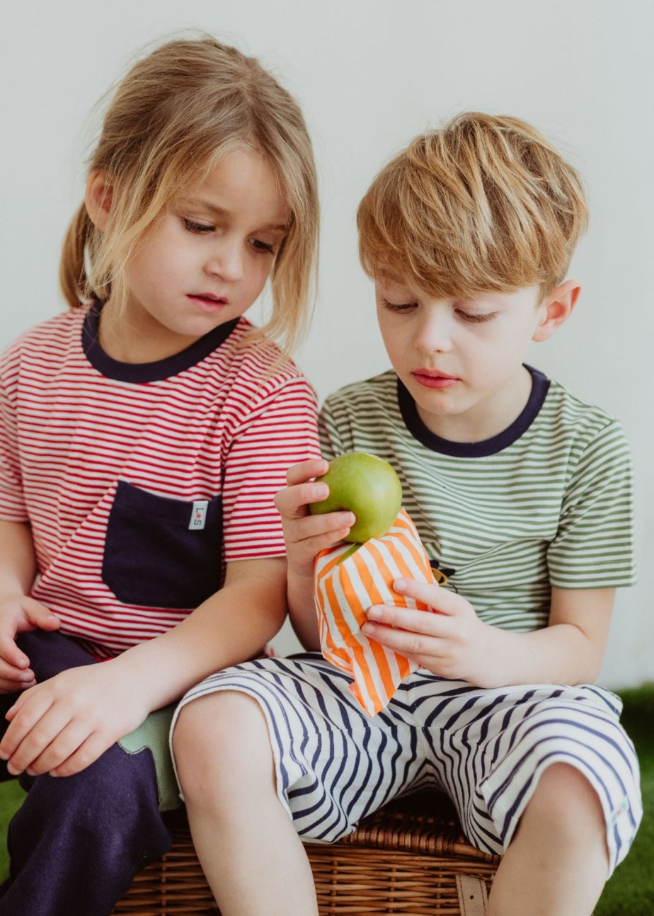 Lilly & Sid Multicoloured Seagull & Stripe Print Top 2 Pack (0-8 Years)