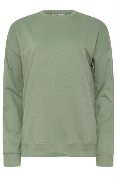 Long Tall Sally Sage Green Crew Neck Sweatshirt