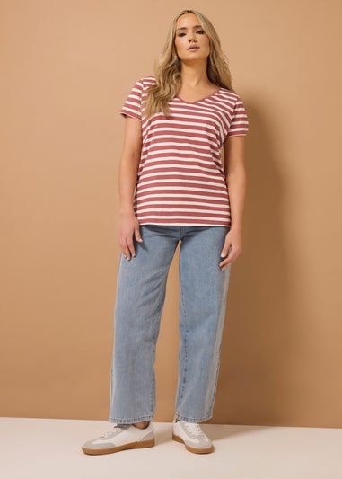 Long Tall Sally 3 Pack Blue & Coral Orange Stripe V-Neck T-Shirts