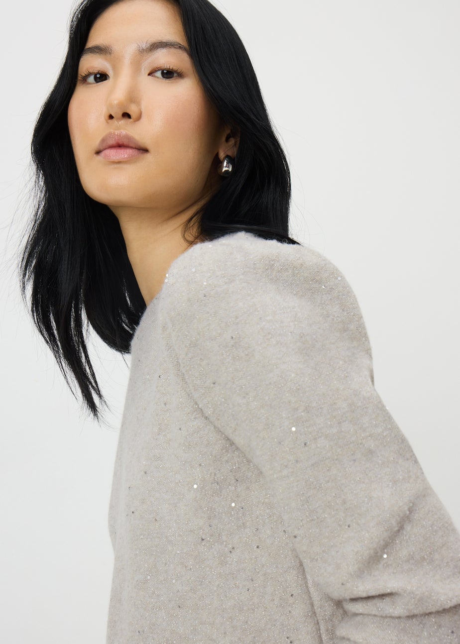 Oatmeal Sequin Yarn Jumper