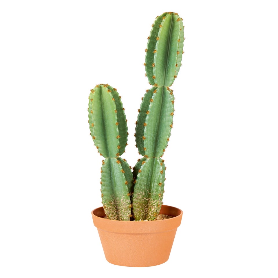 Premier Decorations Green Artificial Cactus in Plastic Pot