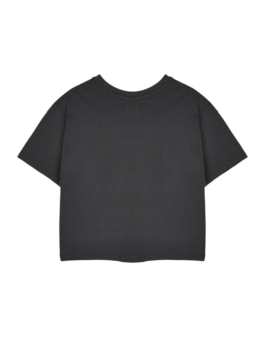 Vanilla Underground Nirvana Adults Rainbow Logo Grey Cropped T-Shirt