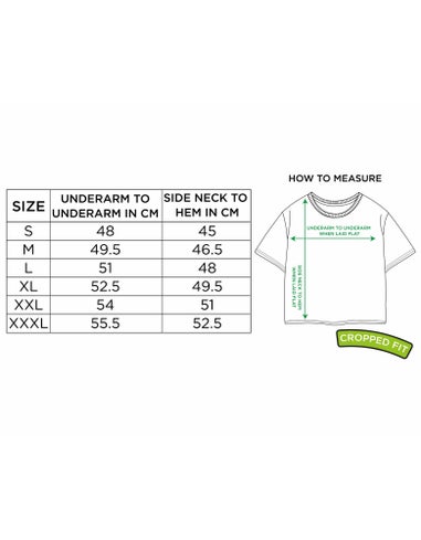 Vanilla Underground Nirvana Adults Rainbow Logo Grey Cropped T-Shirt