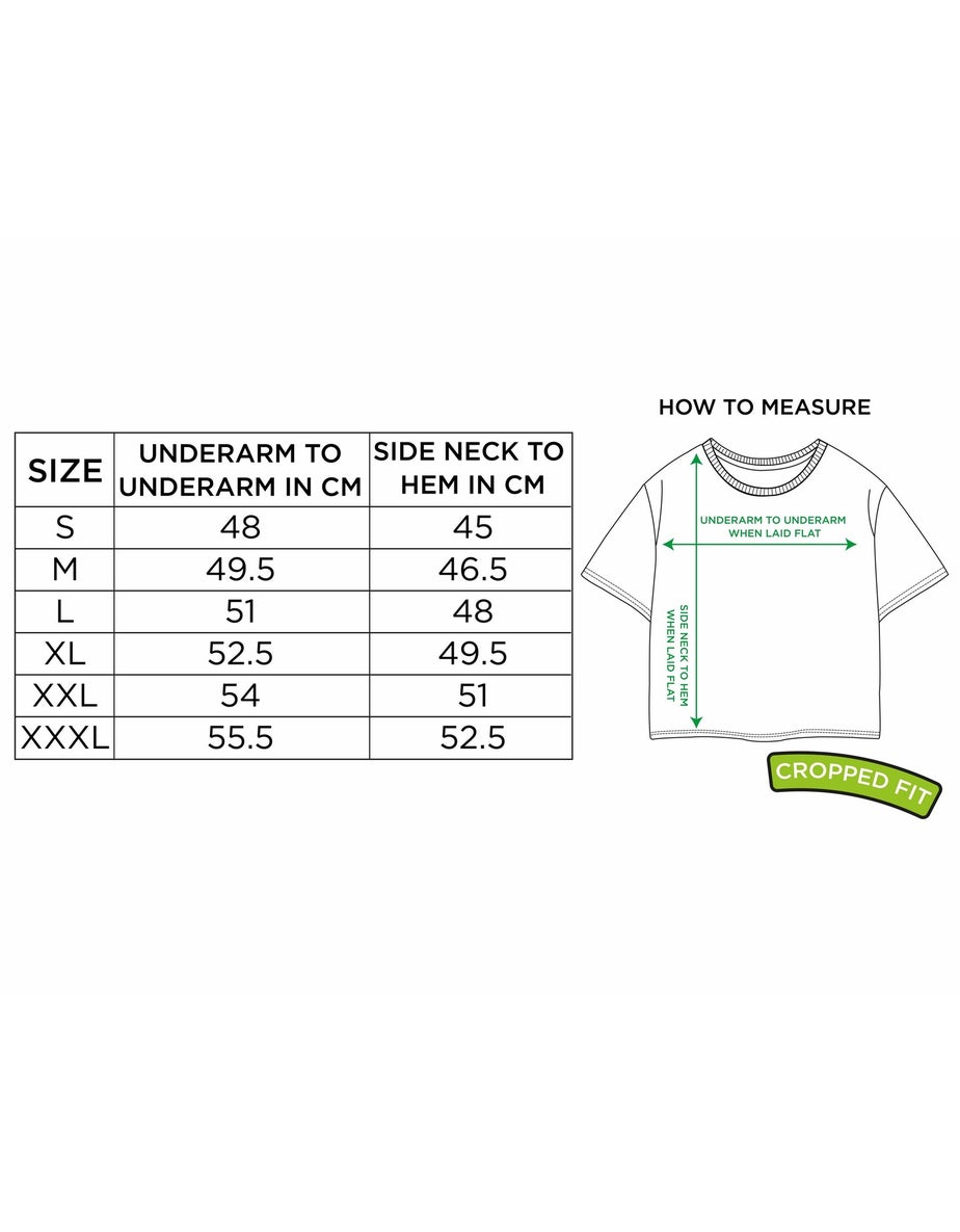 Vanilla Underground Nirvana Adults Rainbow Logo Grey Cropped T-Shirt