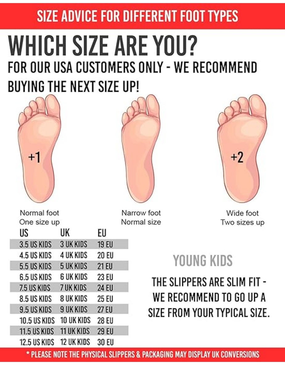 Vanilla Underground Bluey Kids Bluey 3D Blue Slippers