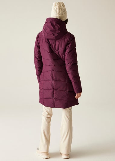 Dare 2b Aubergine Striking V Waterproof Jacket