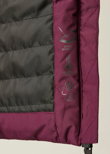 Dare 2b Aubergine Striking V Waterproof Jacket