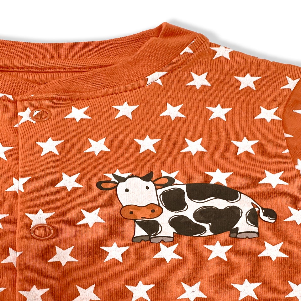 Lucy & Sam Orange Pumpkin Star Button Babygrow  (0  to 24 Months)